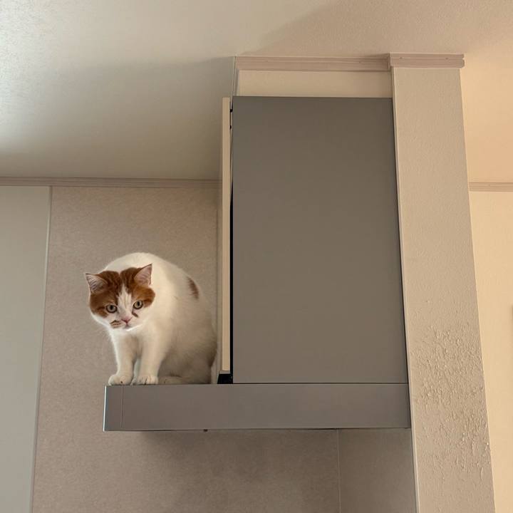 57606719 41a2 4933 a1e4 79db191f49b5 1774658814192