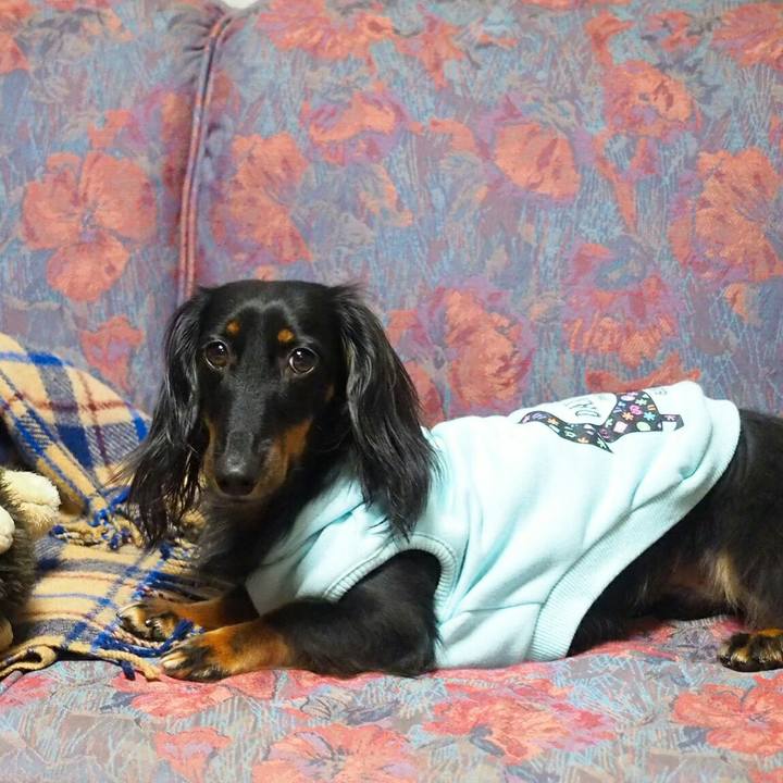 57606b53 f0e0 4d65 b8c9 5a488cd996d6 1509240465988