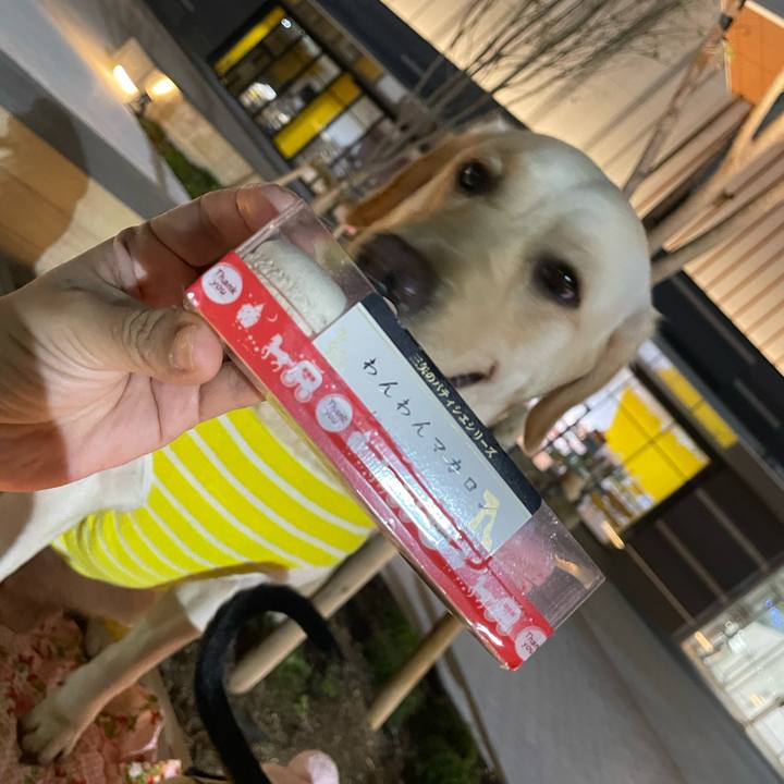 5760ada3 790d 4e26 b33f aef7d7f86b68 1668233954658