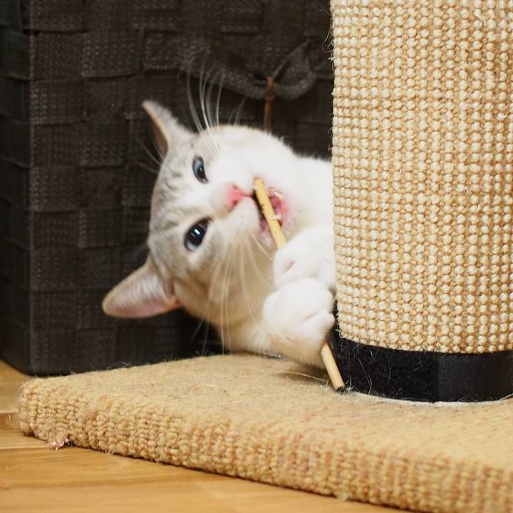 5760b0c5 8b7a 42cb b124 16d29312be40 1547713949632