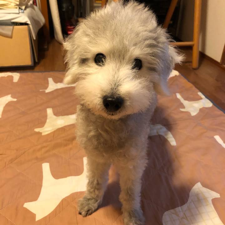 5760b3f9 b3ed 4d0a b360 5da001ba150d 1593947727885