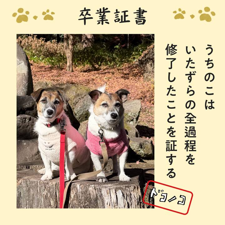 5760d123 81a5 4ff4 8a4e 761c9f2f8f5f 1771816857036