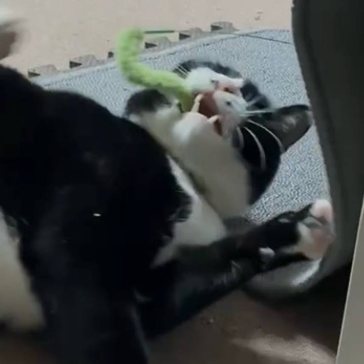 5760d6d6 3e67 44e2 aeee 92ba19384a9a 1769605907439