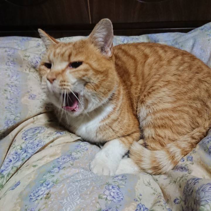 5760db16 3f62 4a79 9803 af844ebb420c 1579089044594