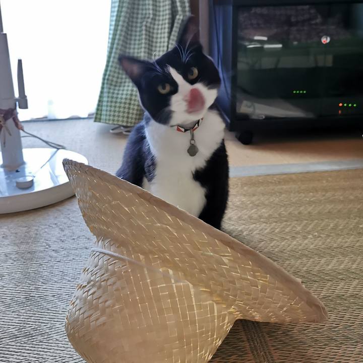 57614288 b2a1 4115 a90b a1a1cd4930ed 1628047984078