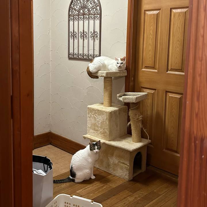 5761557c 65de 4c91 bffe 7b31bada2e19 1688468086077