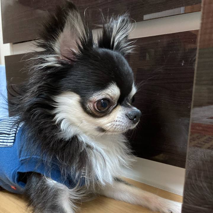 5761647c c175 4f9c a694 0d7d45dbcb43 1681571733330