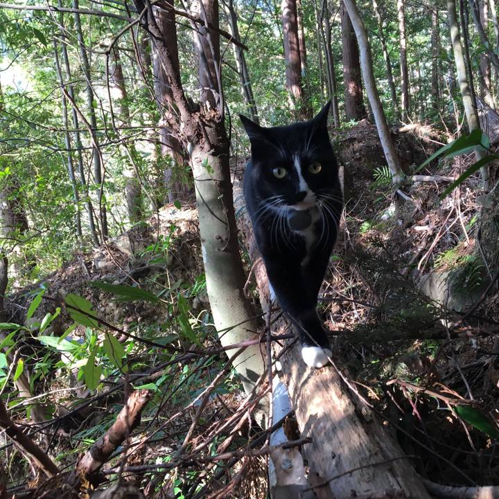 57617212 0e18 4719 af39 a52b66df041e 1549804124887