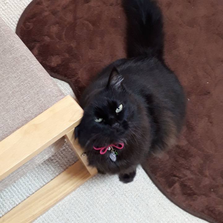 576173f5 9951 41cb bf32 721a91ae0342 1516825721673