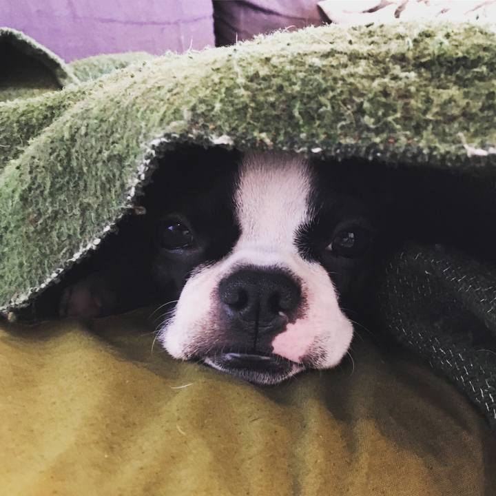 57618331 b204 412b a508 5df175e33288 1515465412152