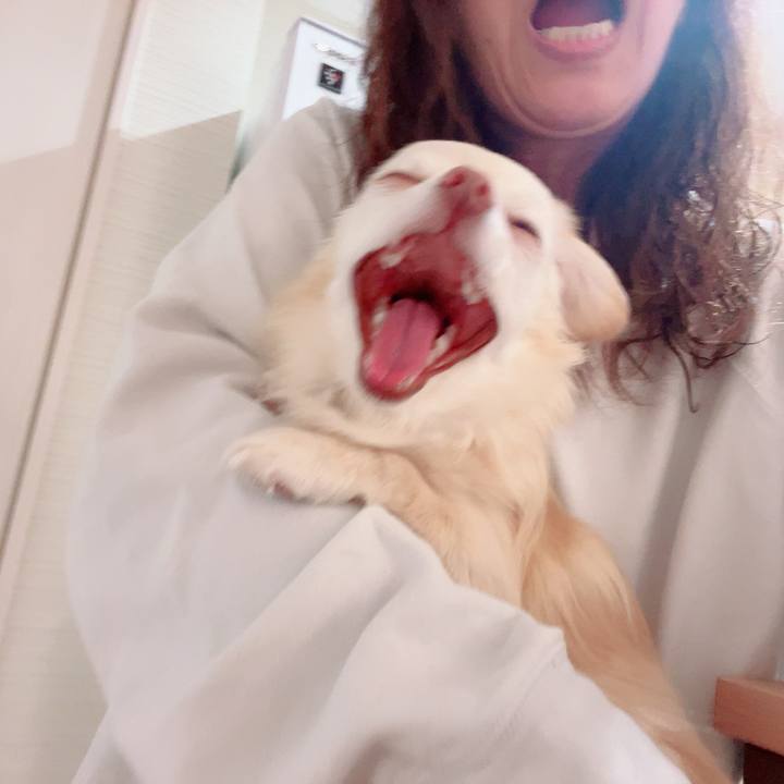 57619546 86db 4fad 94d8 80017b3fb608 1715423015733