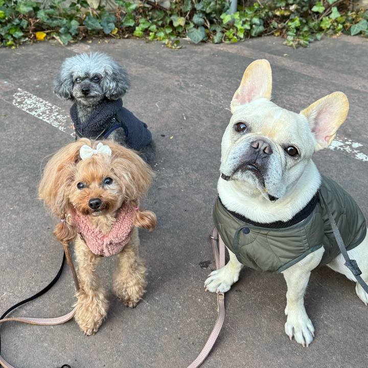 5761a2ef 95d8 4b16 8995 8cb26ffea1a8 1735778403005