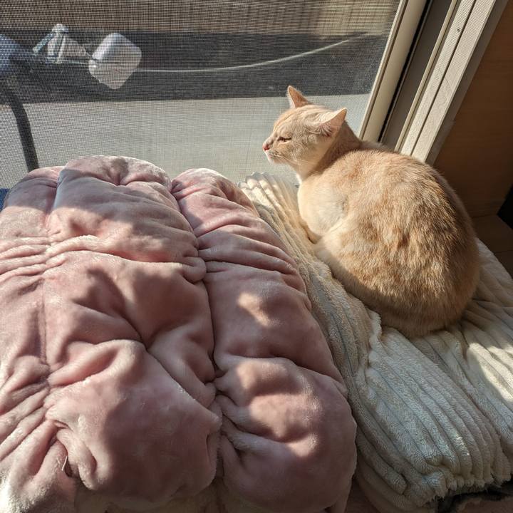 5761a6cf f934 4e17 a36e 61c3c510f981 1698791234696