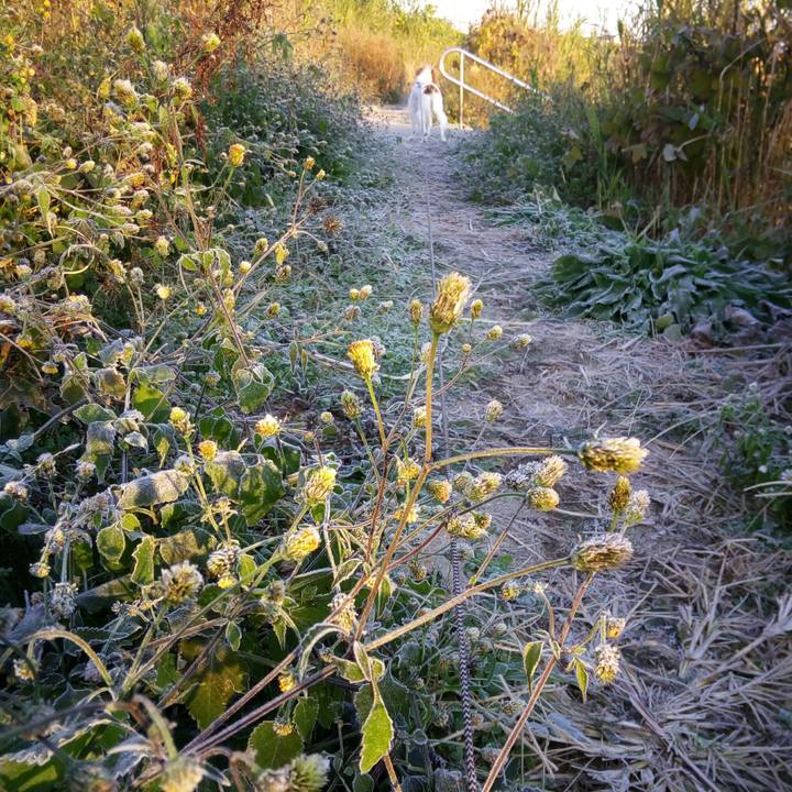 5761c168 6aac 4ec6 bb00 60a961196588 1512606601729