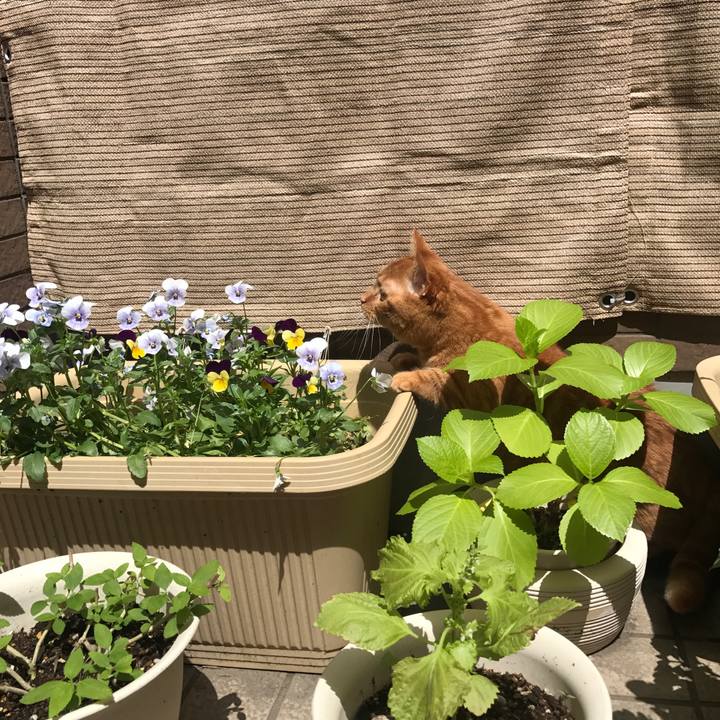 5761c59b 5993 42b1 9a7c 66b624210cc8 1526347236688