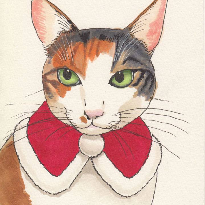 5761dddf 65b4 4b80 a110 11b579f8f469 1545448417318