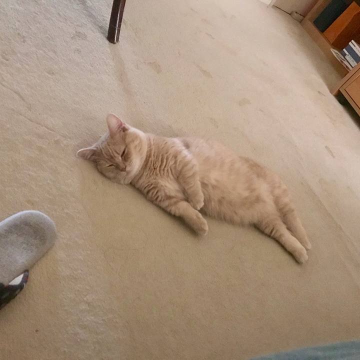 5761de72 80e5 4049 a9d3 aa6e889fb72e 1540704522917