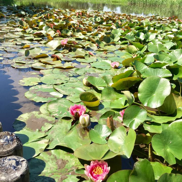 5761fd68 af38 4e93 8d85 9ab12610e6fd 1526950443675