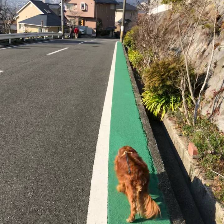 576213b5 b821 4030 9b70 26f4ac03631d 1646864541051