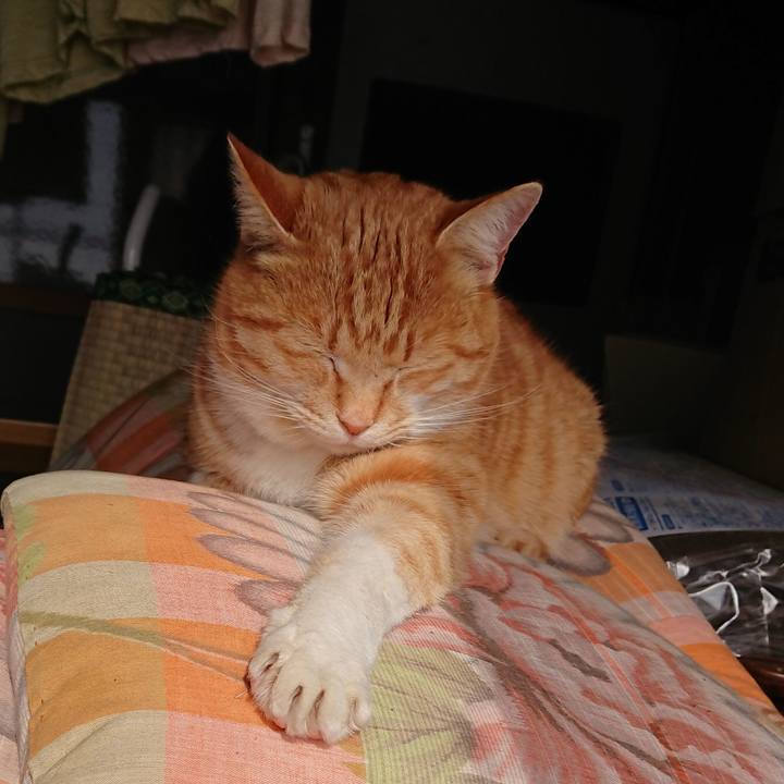 57621489 f433 45f2 8c71 897fdf964f49 1581222163917