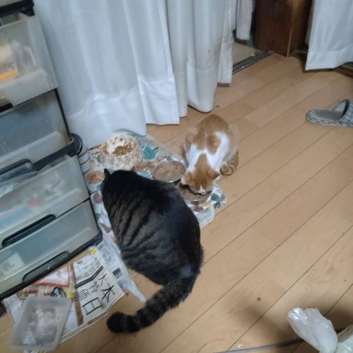 5762250c a0e9 4d0d 9408 da20d9ade9ac 1731538090041