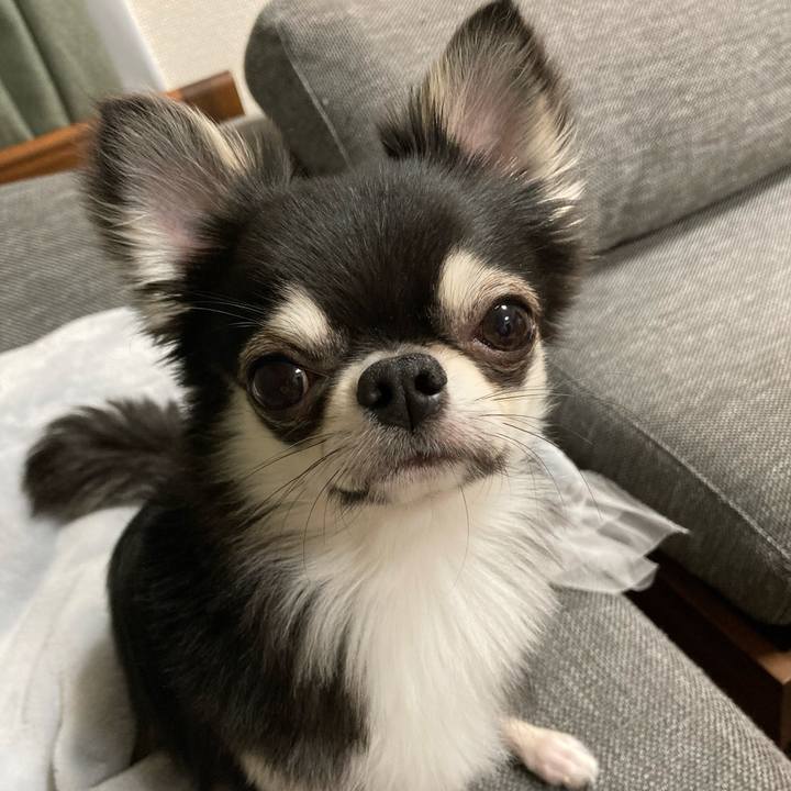 57622faa 95f6 4477 8311 0ccd49a9789b 1620049026829