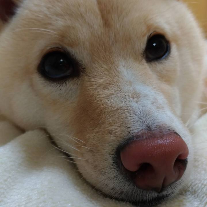 5762429b 28e5 49dd 8e26 526ba4a53062 1524227427342