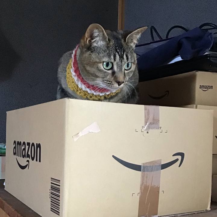 57625d5b 9fdf 41d6 b2c6 9670afa55ca1 1623895924306