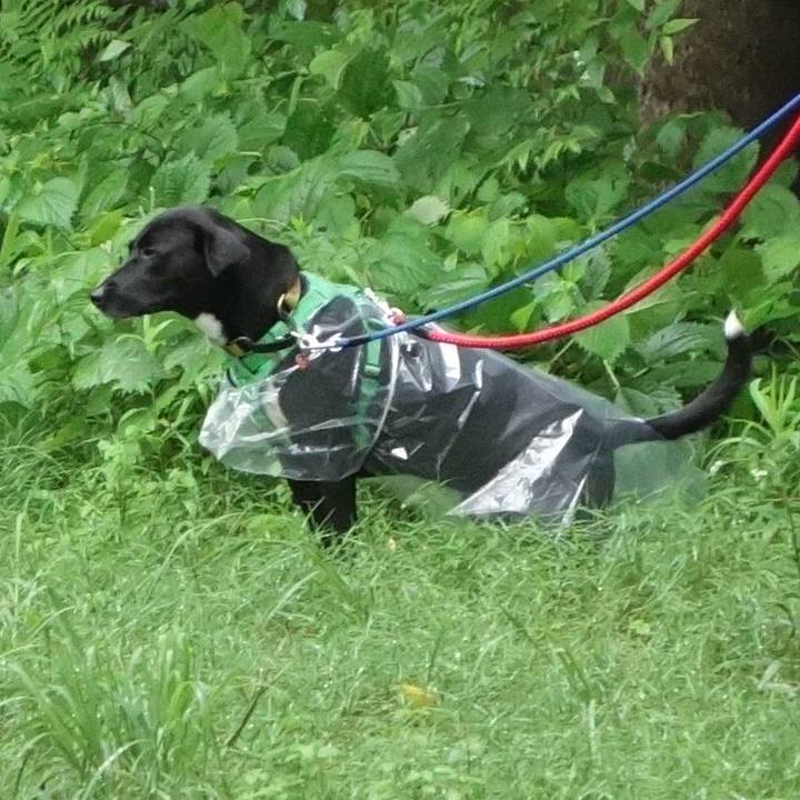 57626d45 e1f3 4813 9e69 cdd2852db0e2 1593509664773