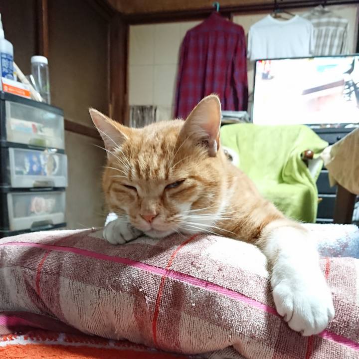 57626f72 1605 4525 8ec9 cdcf122857db 1606114338994