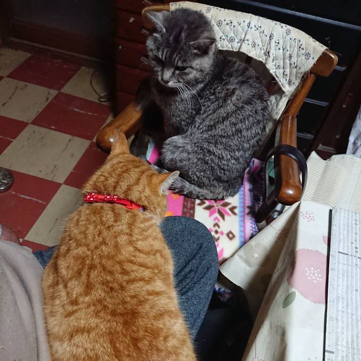 576273a5 876b 4fdd 9ece 7c410fdf0e5a 1577746184435