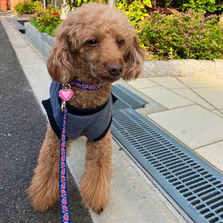 57628d18 54dc 4550 9e75 2acf7f30aaa8 1652439360238