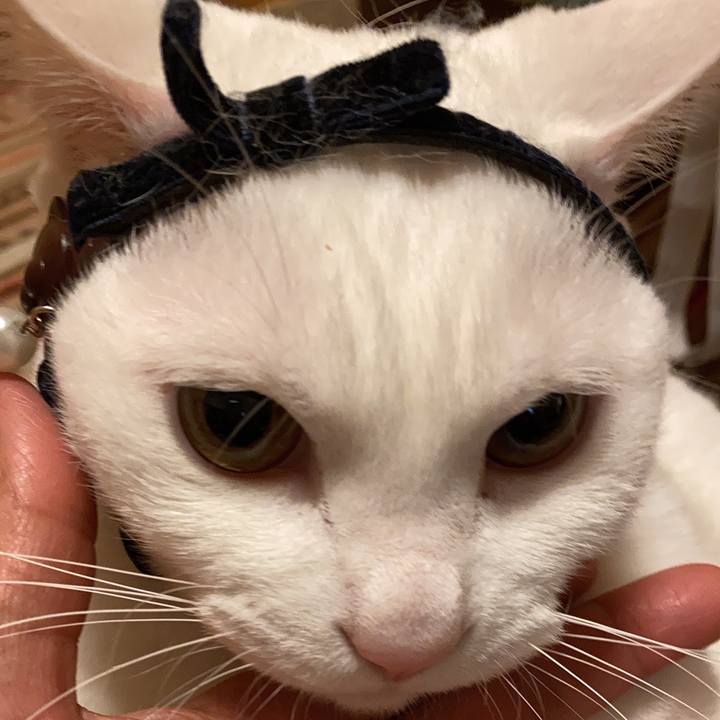 57628e38 8ea7 499b a701 86067ee0cfff 1647653213231