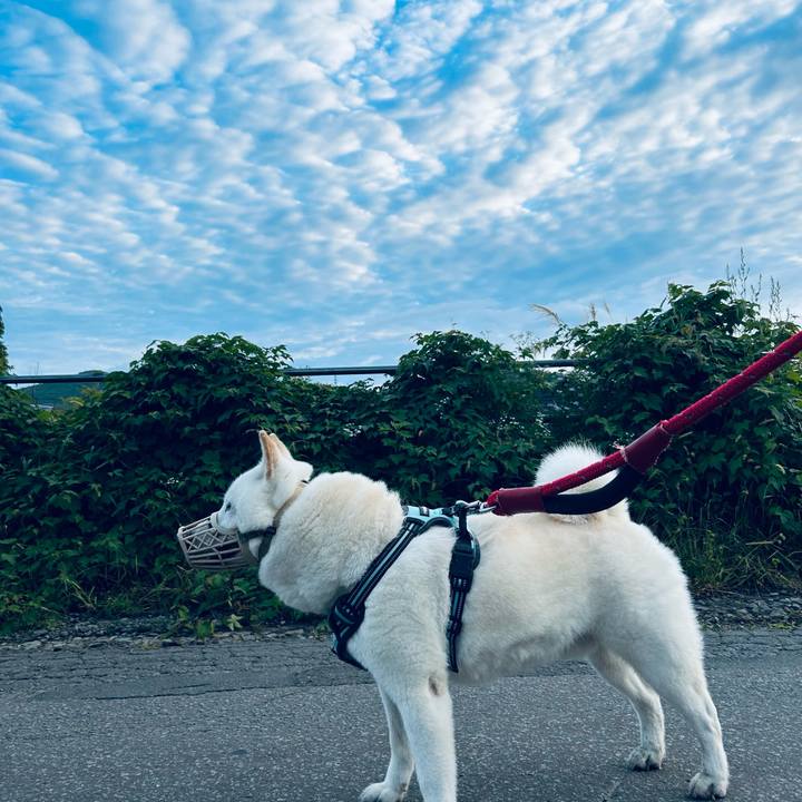 5762996b d197 4da9 a754 3660d4db80ea 1695768769997