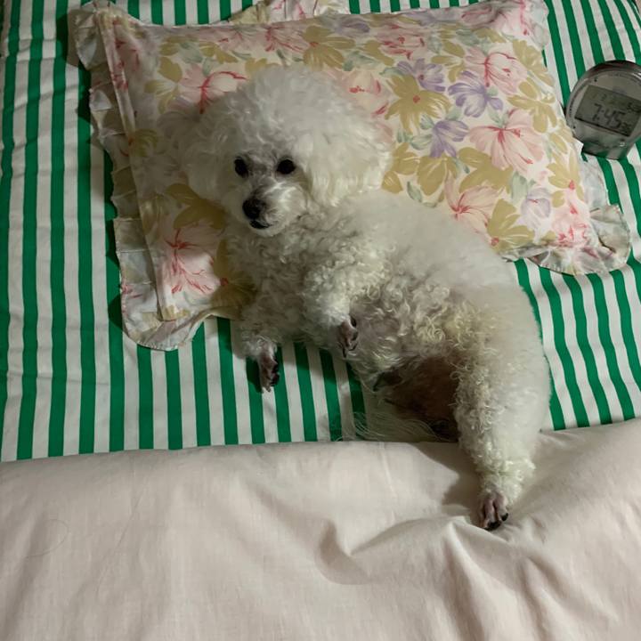 5762b008 1b49 413b aa62 aa8156645f20 1578051019257