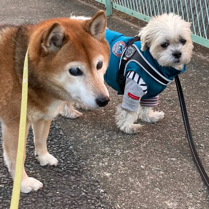 5762b3ec cb13 485f 9c46 b6407276781b 1672391395848