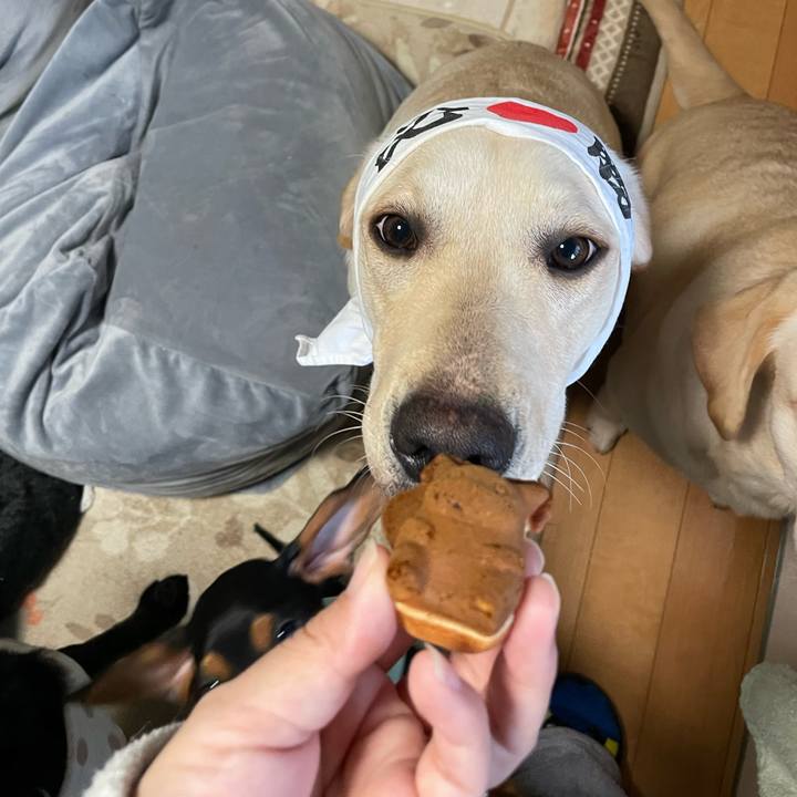 57633eca 1b3c 4748 bd4a ae4de27faf7a 1641024493618