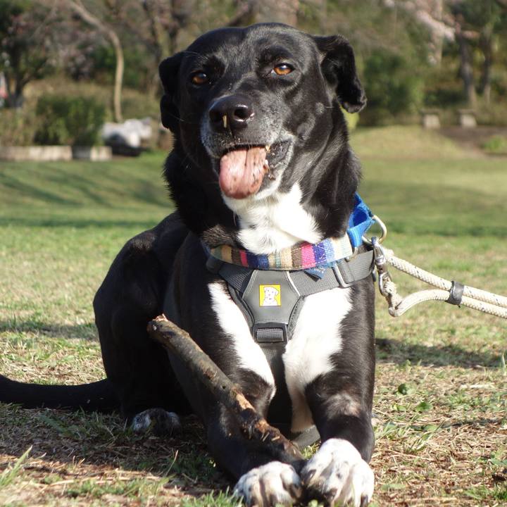 57635028 c5fd 4492 a33c 75a19688fed7 1648082295607