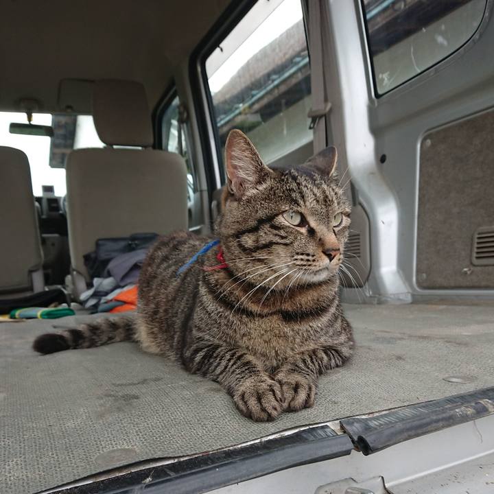 57636c3f c199 4bf4 9695 3fe0b5d24a7f 1657875840178