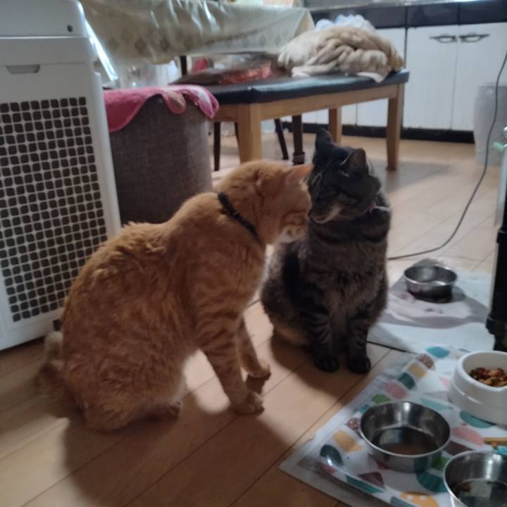 5763804e cf1c 43f2 9dd6 b1fe70f277bd 1721359880374