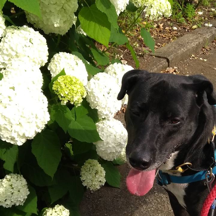 576382d6 c087 4dd8 a34d cf83a61f7e3e 1623476687298