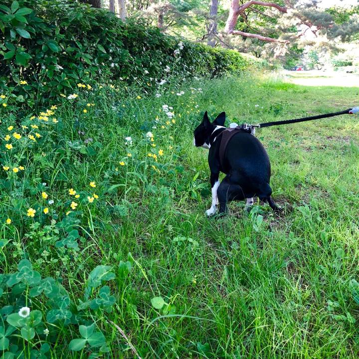 57639a23 55ed 42c4 9861 3d1093c6664c 1557649554531