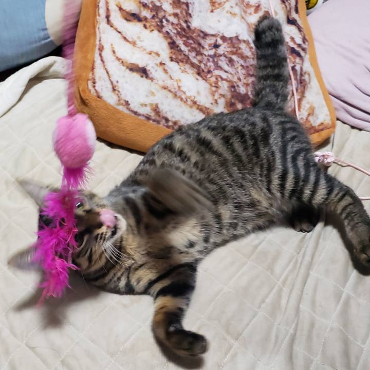 5763a04e 4f50 4f76 823f afc8b6e01d80 1543375099723