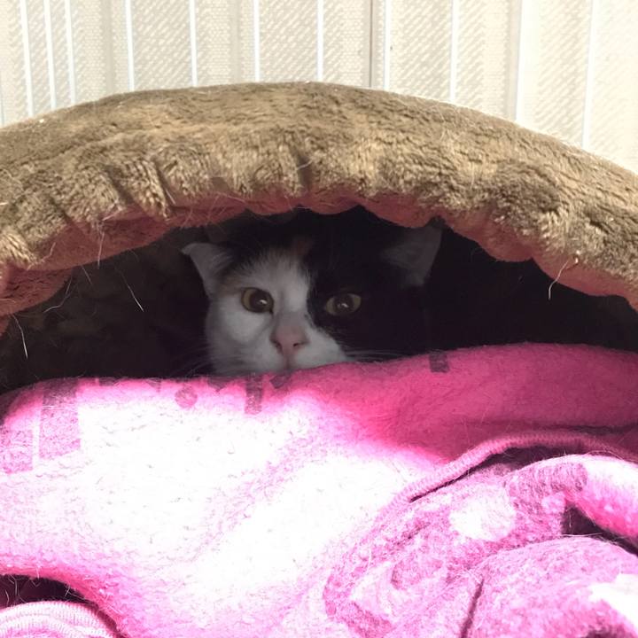 5763bb1d 246f 4225 8146 c9c4efa14ca4 1517556710226