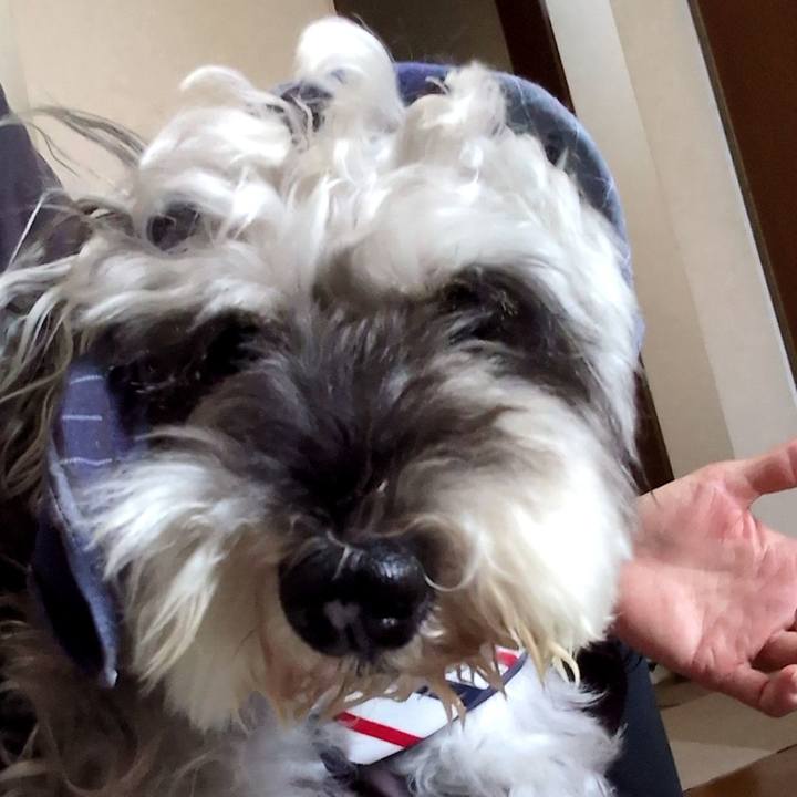 5763d9a9 6961 4b97 88d2 808bed662723 1755575389967