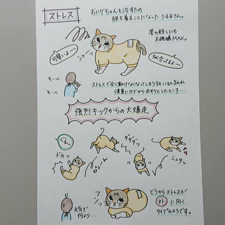 5763f345 1e6d 464b b67c 9fff5681ee24 1627099663475