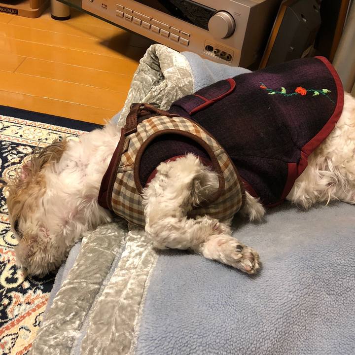 5763f5c6 aece 44ea b801 08ac5a6dbf69 1552340714931