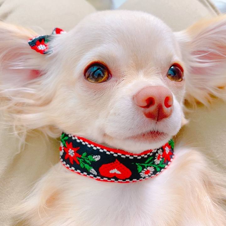 57640245 c642 4c5b b681 a9b6a85d24a6 1627562366531