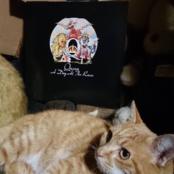 57640407 b6cb 40b0 9a3f e9d299fdaedc 1605263844741