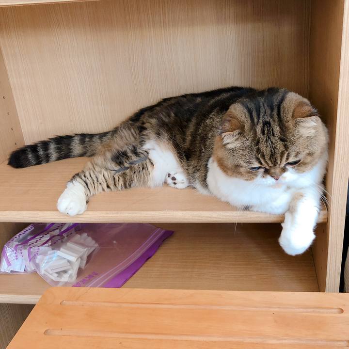 57641e99 6bfa 49a7 9d23 b0c234cbfc0e 1569744531935